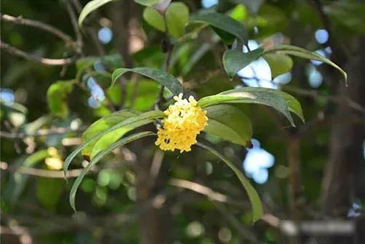 程力風(fēng)采：金秋九月，我在程力等您